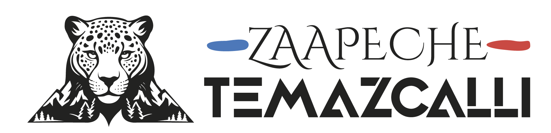 Logotipo Zaapache-08 (1)
